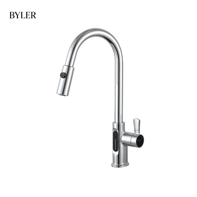 Vòi Rửa Bát Byler BVC 8701