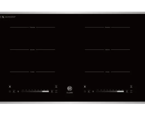 Bếp Từ Goldmax G-Lux900-1